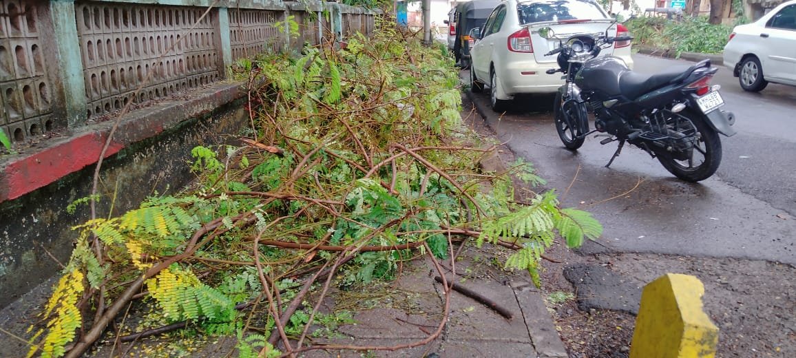 झाडांच्या छाटलेल्या फांद्या वेळीच न उचलल्यास सिडको कार्यालयाच्या आवारात या फांद्या टाकून शेकाप तीव्र आंदोलन छेडणार