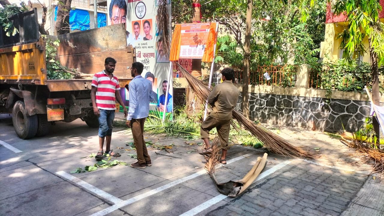 मा.उपमहापौर विक्रांत पाटील यांनी सुकलेले पाम चे झाड आणि विद्युत वहिनी वर वाढलेल्या झाडांच्या फांद्यांची कटाई करून घेतली.